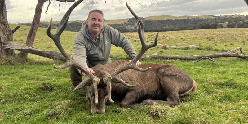Trophy red stag hunt at 1st property. 