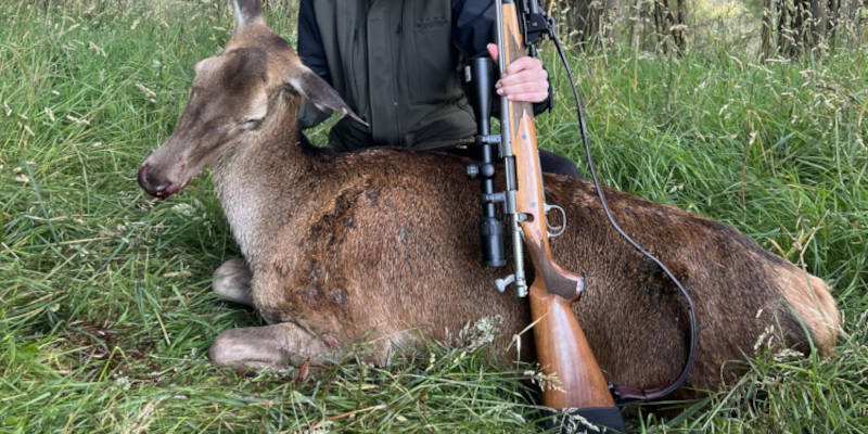 Half day red deer meat hunt. 