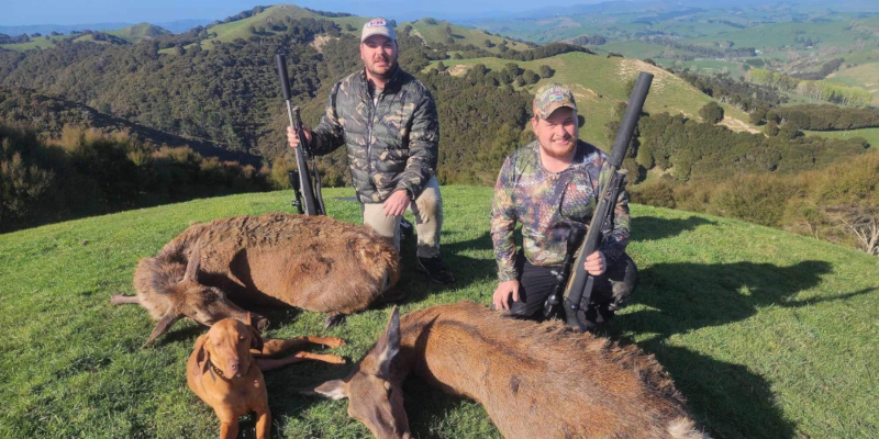 Overnight red deer meat hunt. 