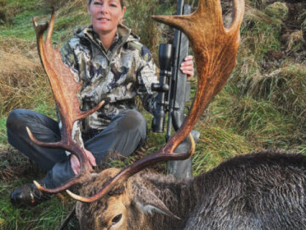 Free Range Fallow Buck Trophy Hunt. 