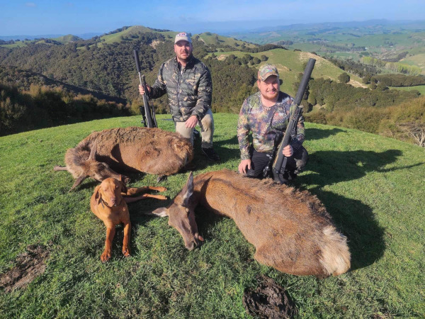 Overnight Red Deer Meat Hunt. 