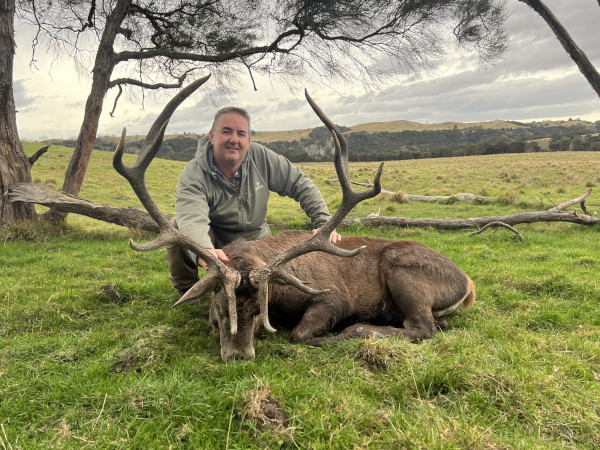 Trophy Red Stag Hunt at 1st Property. 