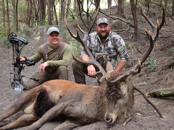 Trophy Red Stag Hunt at 2nd Property. 