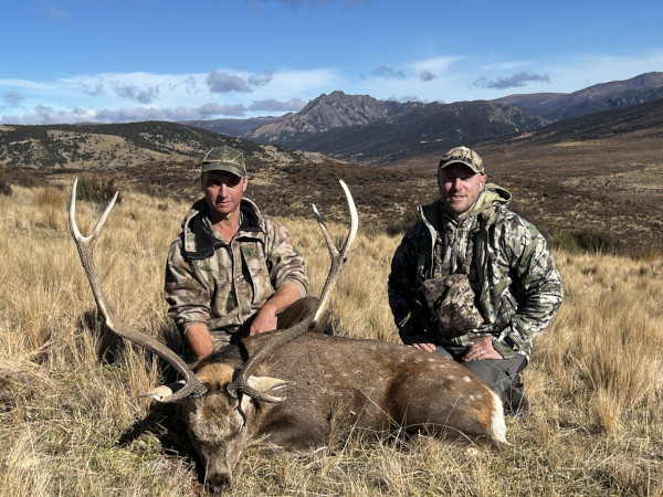 Trophy Sika Stag Hunt. 