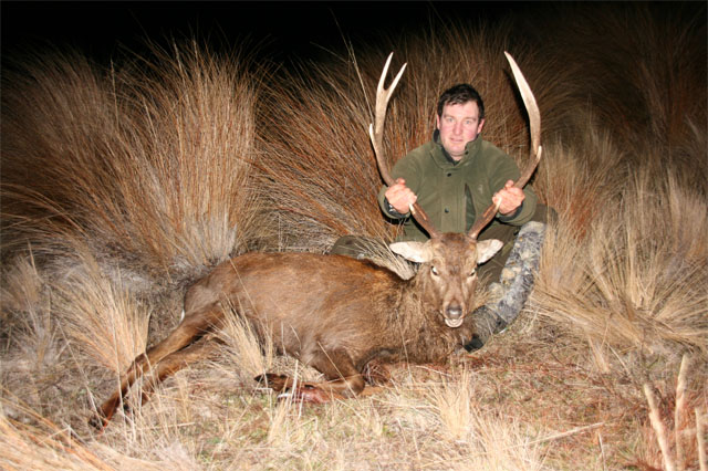 Paul-7point-management-sika-stag