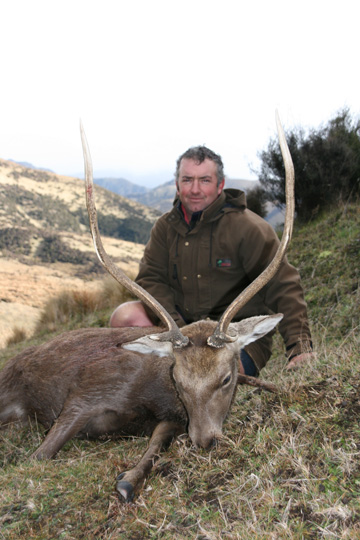 tony-management-sika-stag