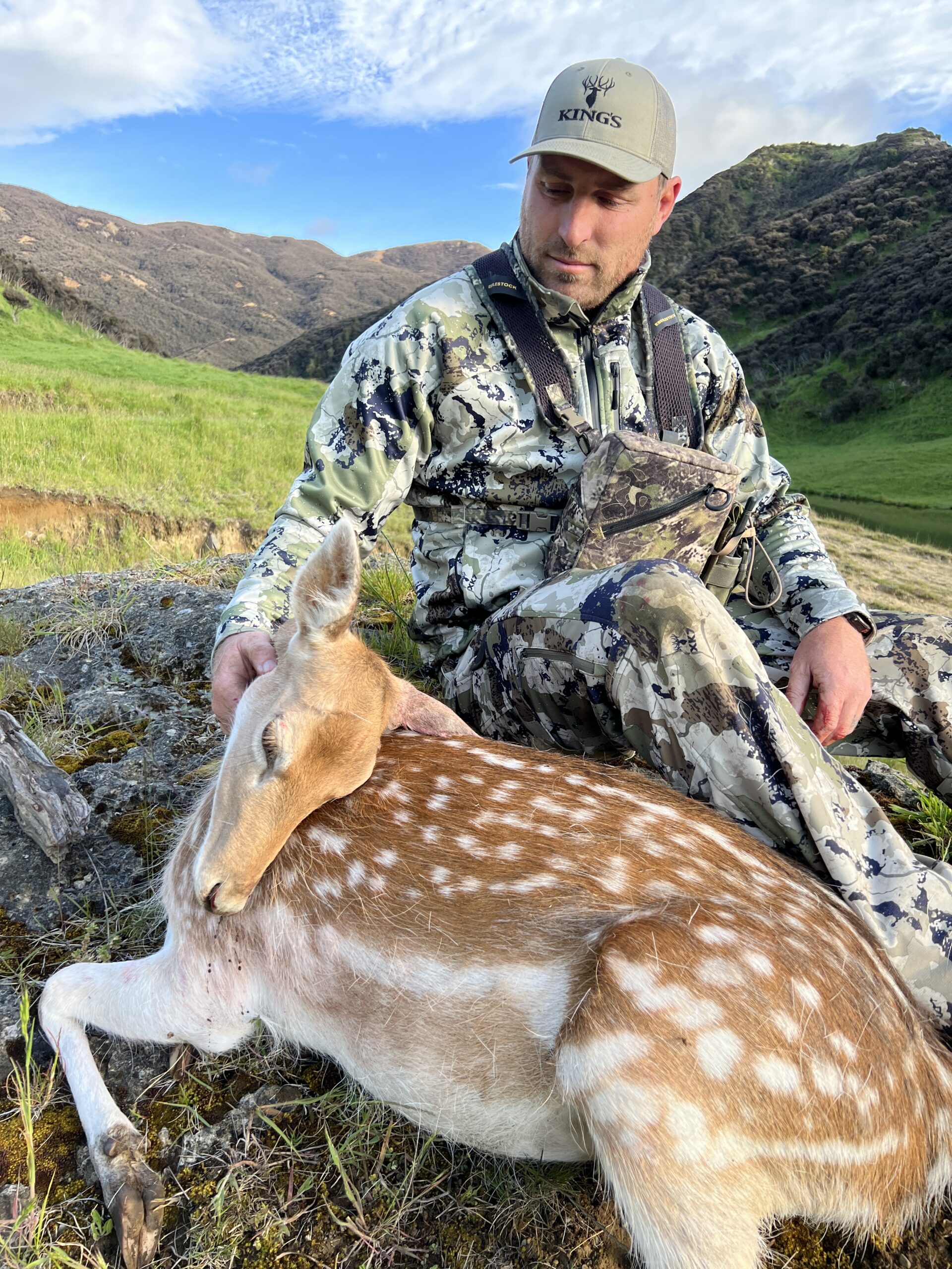 fallow deer hunt