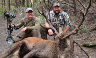 red stag trophy
