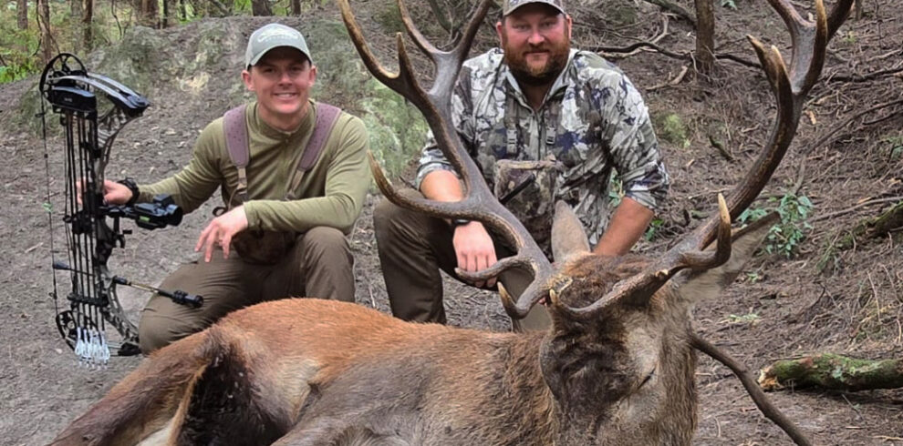 red stag trophy