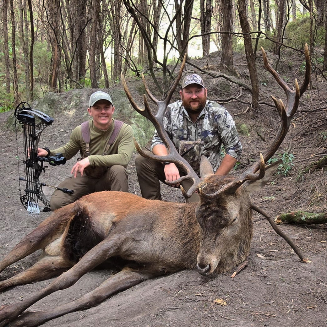 red stag trophy