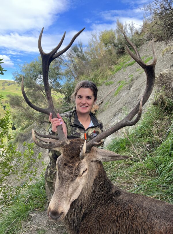 red deer