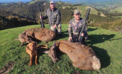 red deer overnight