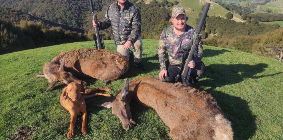 red deer overnight