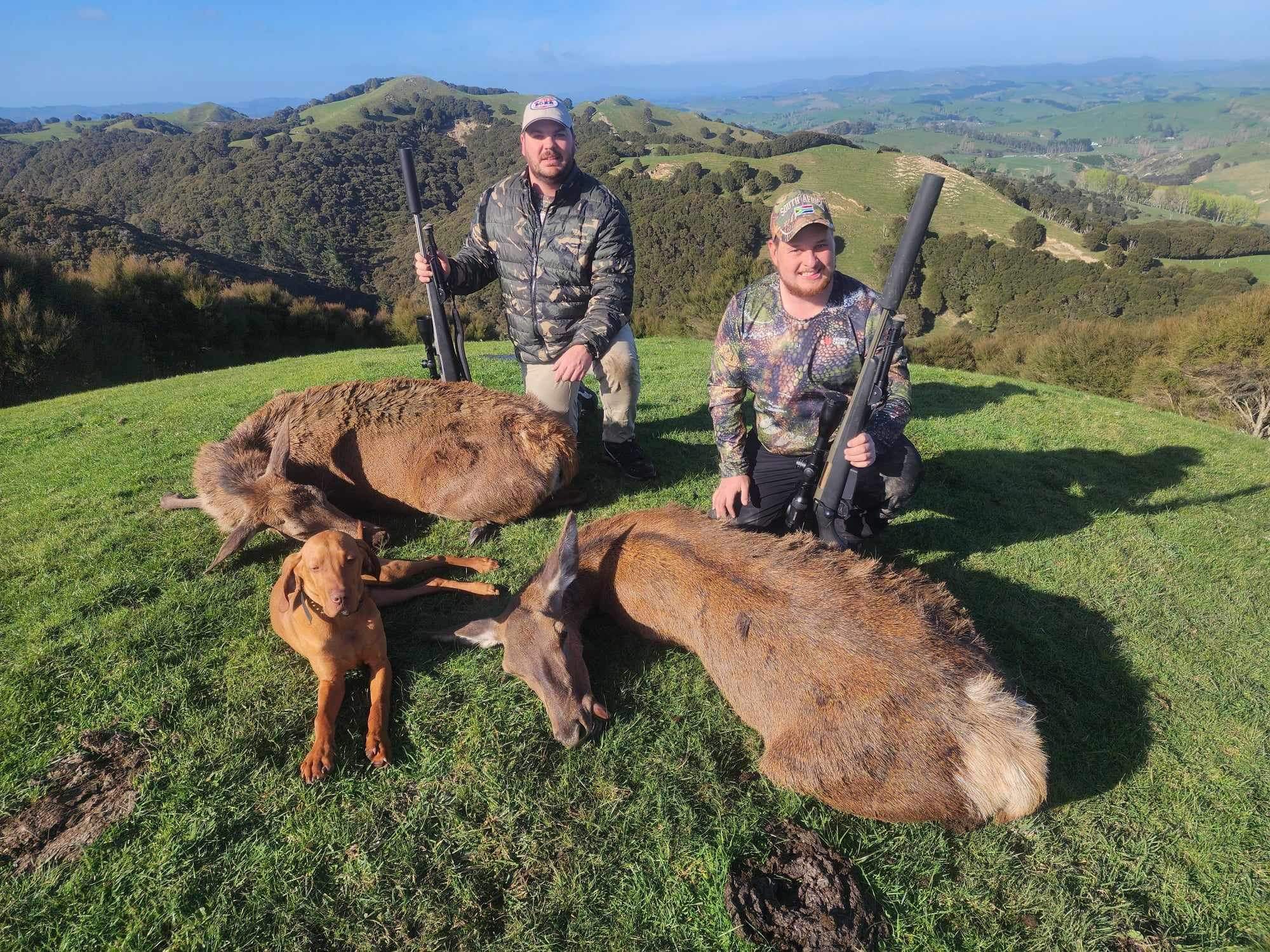 red deer overnight