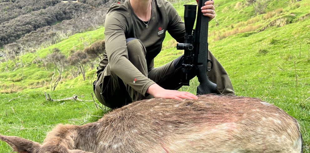 fallow deer hunt