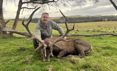 red deer first property trophy. no acc