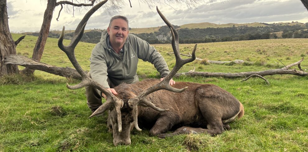 red deer first property trophy. no acc