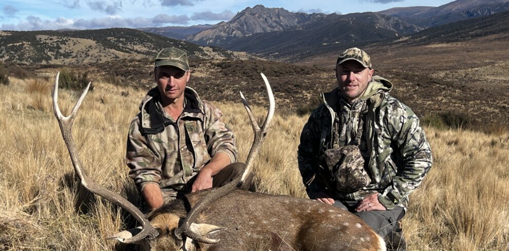 sika stag trophy