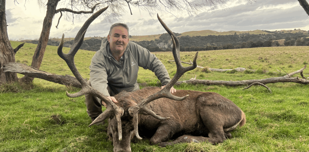 red deer first property trophy. no acc