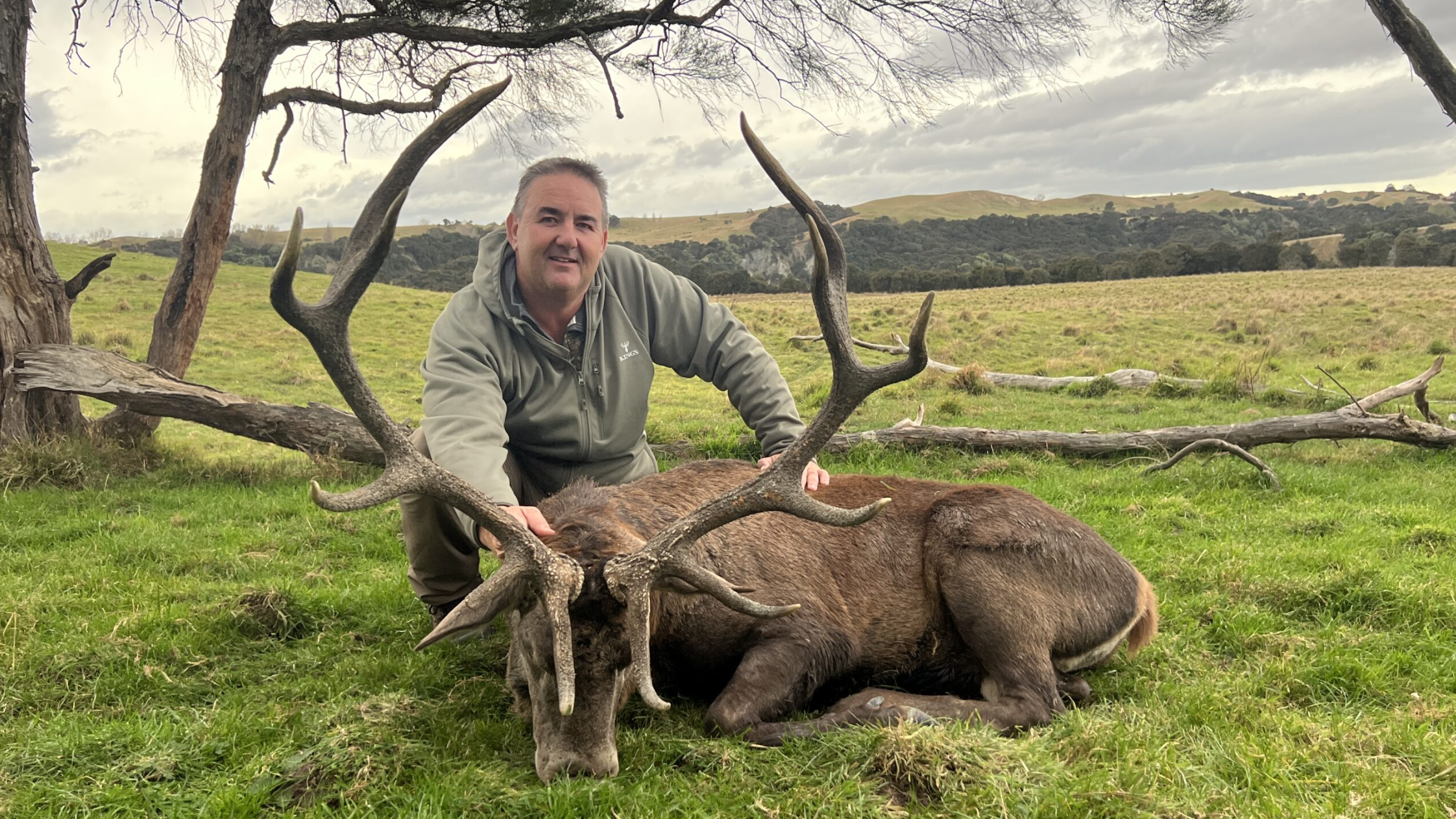 red deer first property trophy. no acc