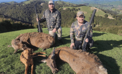 Red Deer Meat Hunts OVER NIGHT HUNT