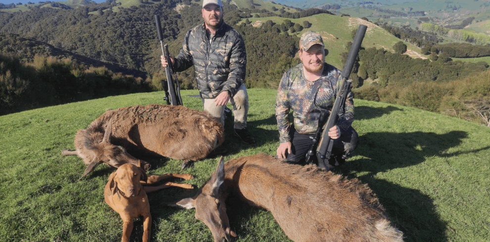 Red Deer Meat Hunts OVER NIGHT HUNT