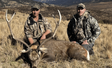 Trophy Sika Stag Hunt – 3-day Trophy Hunt + Trophy fee