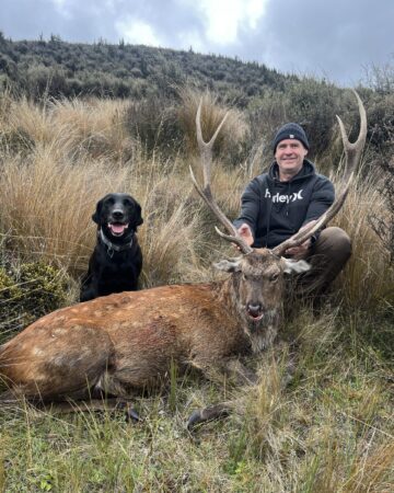 SIKA DEER HUNTS